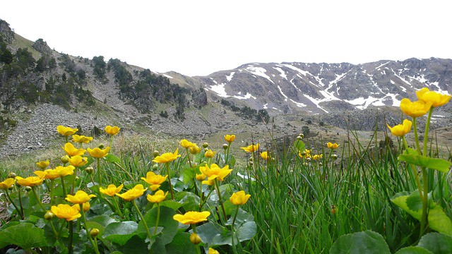 Andorra - ANDORRA - SRDCE PYRENEJÍ - 4* hotel; červenec, srpen 2023